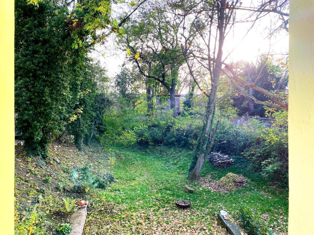 Apartament Zitronenhaus Bad Frankenhausen Zewnętrze zdjęcie